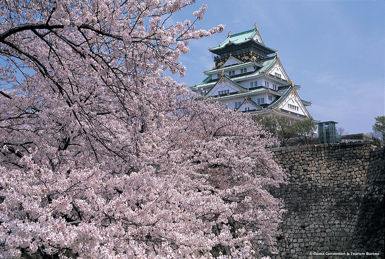 大阪城公園の桜1
