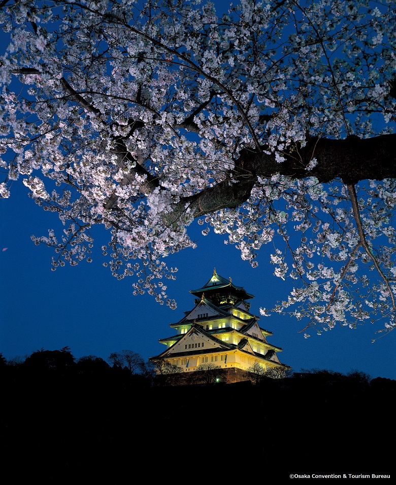 大阪城公園の夜桜