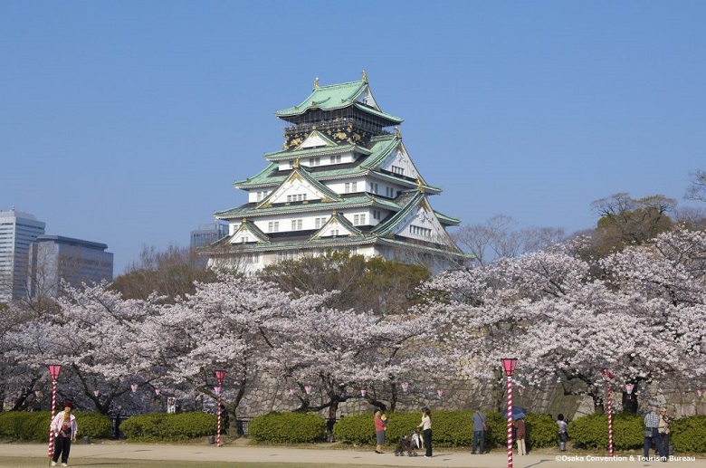 大阪城公園の桜2